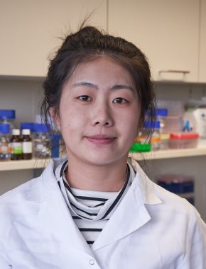 Jingli - PhD student